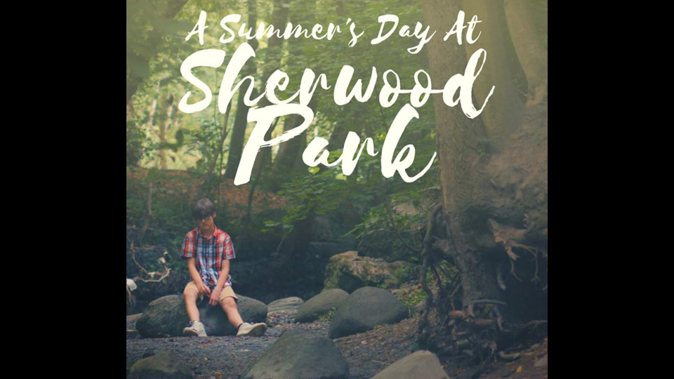 A Summer's Day at Sherwood Park