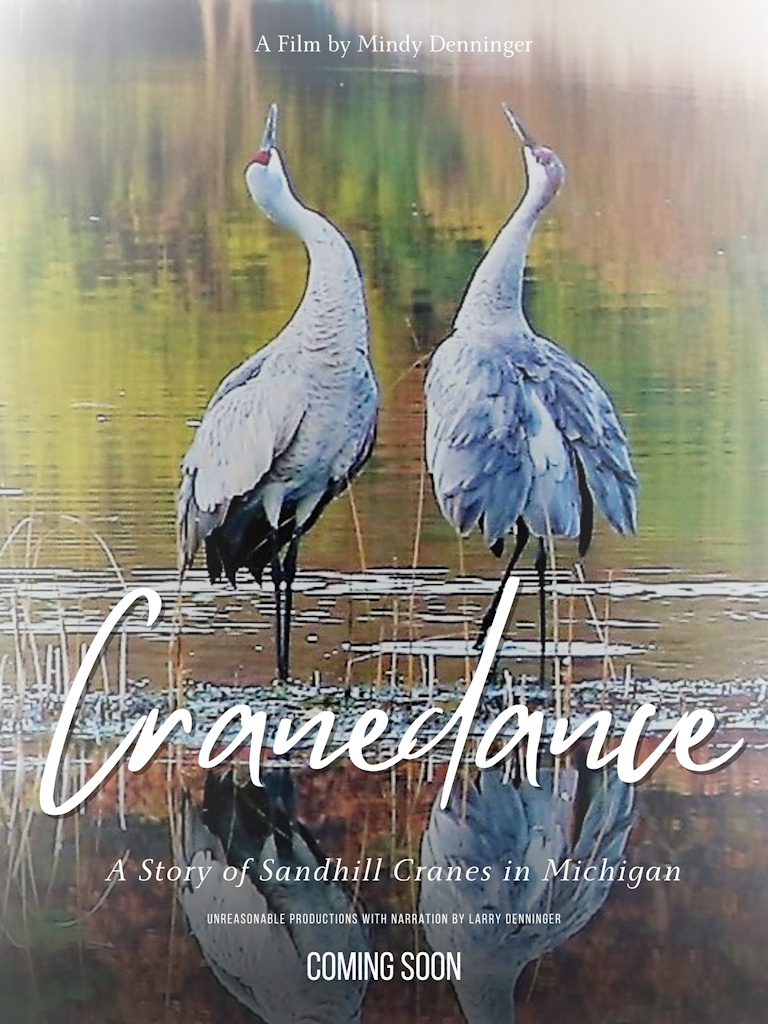 Poster: Cranedance